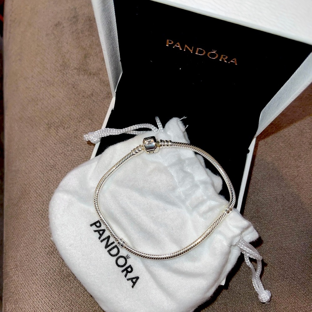 Sliver Pandora charm bracelet